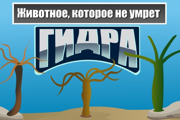 Как зарегистрироваться на кракене маркетплейс