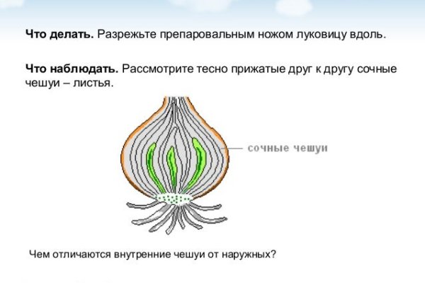 Кракен шоп krakenweb site