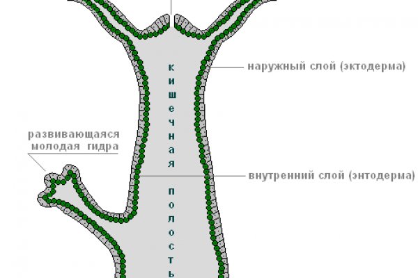 Кракен маркетплейс это